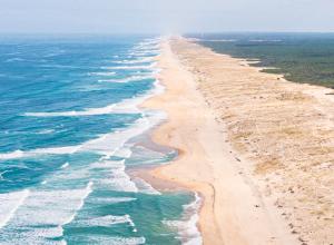 Activités sur la côte Atlantique Sud